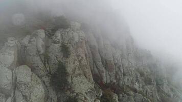 dimma på bergssidan. skott. diagonal bergssidan med träd i dimma stänga upp. tät dimma omsluter hel Plats av backe video