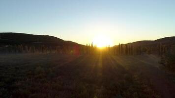 View of field with dawn rays of sun. Shot. Top view of rays of rising sun on green field with morning fog video