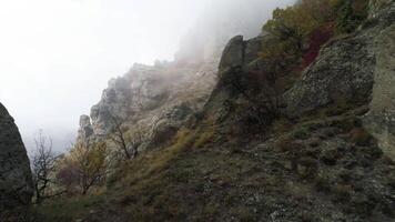 Side of mountain. Shot. Top view of rock slope with colourful trees in autumn. Fascinating view of slope in thick fog video