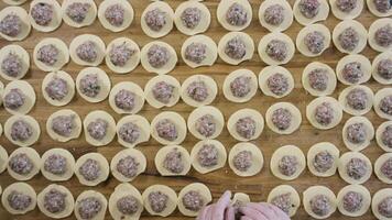 framställning traditionell dumplings. scen. topp se närbild av runda platt deg med handgjort mald kött video