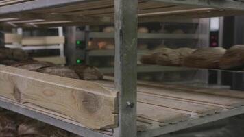 Close-up of freshly baked bread at bakery. Scene. New baked batch of bread put on shelf. Fresh baking concept video