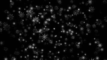 Isolated snow falling on black background. Abstract animation of snowflakes. Winter background with beautiful patterned falling snowflakes close up video