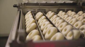 procedimiento de haciendo rosquillas en un pequeño pueblo rosquilla panadería - rosquillas fritura en un profundo freidora escena. proceso de preparación de rosquillas video