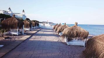 Antenne Aussicht von das Wellen, sandig Strand mit Schilf Regenschirme. Video. oben Aussicht von das sandig Strand mit natürlich Regenschirme video