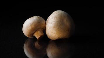 Close up of delicious white mushrooms on black background. Frame. The concept of proper nutrition video