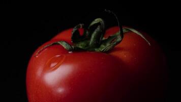 gotas de agua goteo desde encima maduro Tomates. marco. cerca arriba de un soltar de agua goteo desde un tomate video