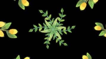 Abstract animation of plants on a black background. Painted flowers on black background video