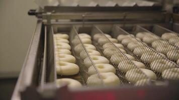 procedimiento de haciendo rosquillas en un pequeño pueblo rosquilla panadería - rosquillas fritura en un profundo freidora escena. proceso de preparación de rosquillas video