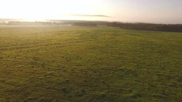 Top view of green hills and blue sky with low clouds above them. Footage. Foggy horizon with morning sun and green field on which sportsman runs video