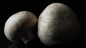 Close up of delicious white mushrooms on black background. Frame. The concept of proper nutrition video