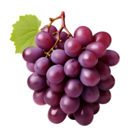 AI generated Grape with No Background Distractions png