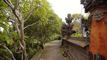 Balinese temple standing among the trees and the pathway video