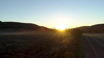 se av fält med gryning strålar av Sol. skott. topp se av strålar av stigande Sol på grön fält med morgon- dimma video