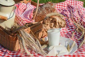 picnic with fresh bread and milk on a red checkered bedspread on a green lawn photo