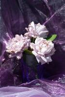 lilac roses in a blue glass on a chair against a background of purple chiffon photo