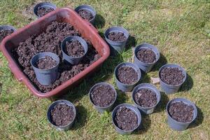 preparando ollas para plántulas, relleno con nutritivo suelo, estacional trabajo primavera en el jardín foto