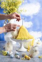 a woman lights a candle on a traditional yellow Slavic Easter curd cake photo