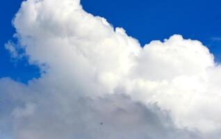 photo of white sky and bright blue clouds