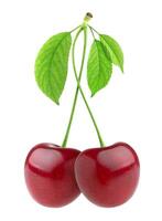 Cherry isolated on white background photo