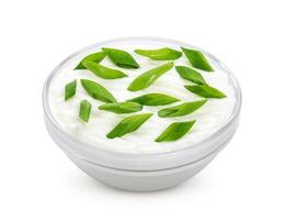 Sour cream and onion isolated on white background. photo