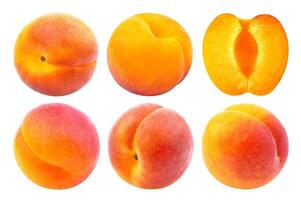 Apricot isolated on white background photo