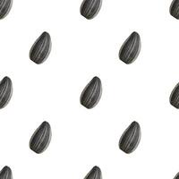 Seamless pattern of black sunflower seeds photo