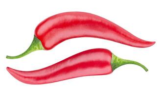 Red hot chili pepper isolated on white background photo