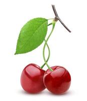 Cherry isolated on white background photo