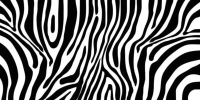 Zebra pattern shape vector in black white for background design.