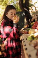 hembra comprador disfrutando natural Fresco oler de manzanas, en pie en frente de agricultores mercado pararse. mujer oliendo orgánico vistoso frutas antes de comprando de cosecha propia eco Produce desde encimera. foto