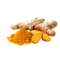 AI generated Isolated Turmeric Spice on a Transparent Canvas png