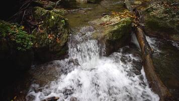 Waterfall in forest. Beautiful view of the waterfall in the forest video