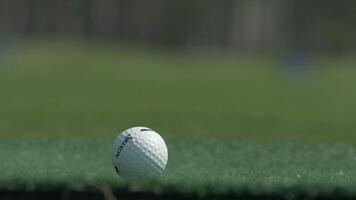 el palo en el pelota. un golf club en un golf curso. golf equipo, golf pelota y palo. deporte curso video