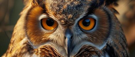 AI generated A close up of the yellow eyes of a horned owl on a natural background photo