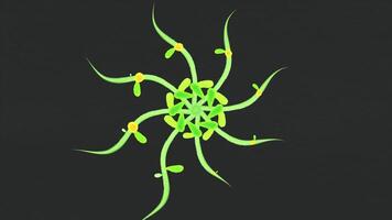 abstrait animation de le formation de fleurs. magnifique animation de le formation de couleurs pour votre conception video