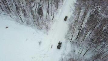 Militär- gepanzert Personal Träger im das Wald während Militär- Übungen. Clip. oben Aussicht von Militär- gepanzert Personal Träger im das Wald im Winter video