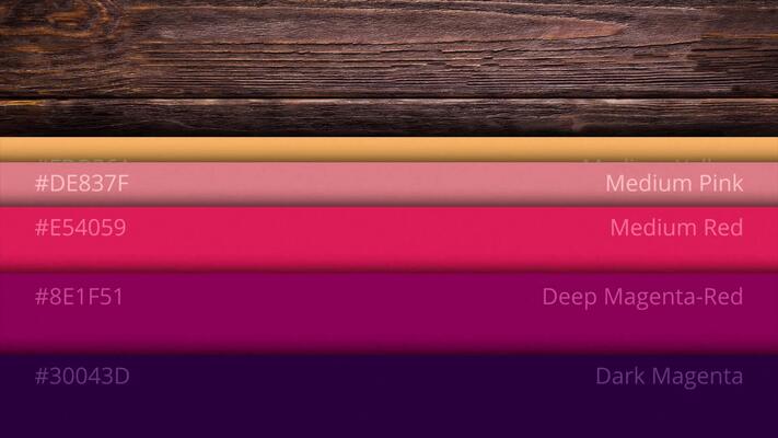 Color Palette Stock Video Footage for Free Download