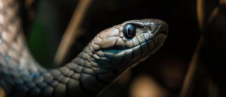 AI generated Extreme close up of black mamba snake head photo