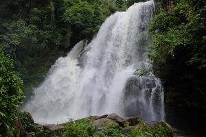 Beautiful Waterfall on the mountain and stream flowing on the rock of tropical rain forest in national park at Thailand photo