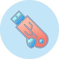 Usb Secure Vector Icon