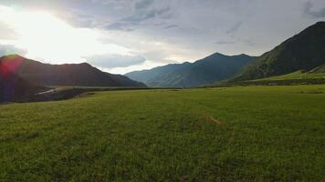 zomer velden met gras tegen de backdrop van bergen. video