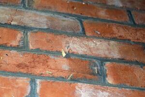 Other moths on a brick wall photo