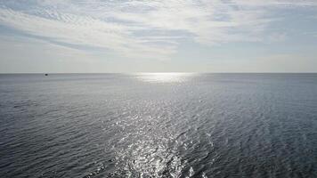 delfines surgir desde el agua a puesta de sol video