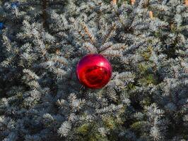 decoraciones nuevo año árbol. oropel y juguetes, pelotas y otro decoraciones en el Navidad Navidad árbol en pie en el abierto aire. foto