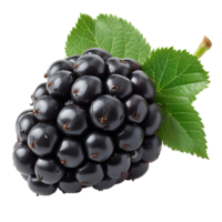 AI generated Sharp and Clear, Isolated Blackberry on a Transparent Canvas png