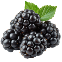 AI generated Sliced Elegance, Blackberry Cut Out with Transparency png