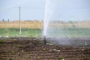 Irrigation system in field of melons. Watering the fields. Sprinkler photo