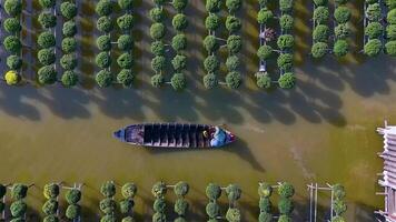 Aerial view of Sa Dec flower garden in Dong Thap province, Vietnam. It's famous in Mekong Delta, preparing transport flowers to the market for sale in Tet holiday. The gardens are tourist destination video