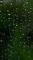 vertical cheio hd cenas do chuva gotas em a janela video