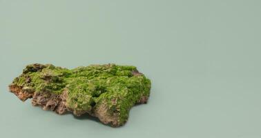 Green forest moss on the bark of a tree on a green background. Copy space. Natural ecological layout. Natural layout from tree bark, natural objects. Collection of nature details. photo